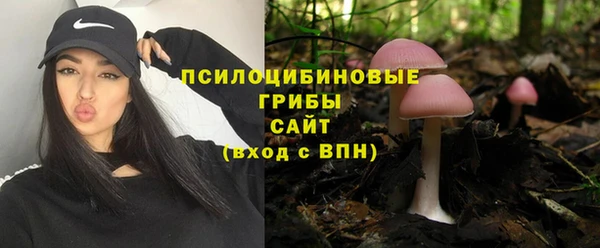 прущие крисы Армянск