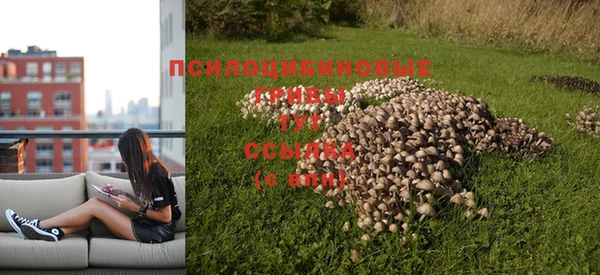 прущие крисы Армянск