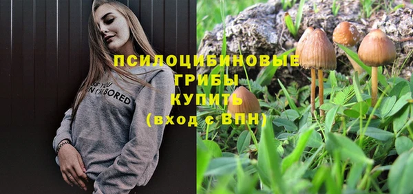 прущие крисы Армянск