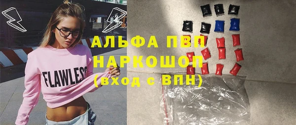 стафф Новозыбков